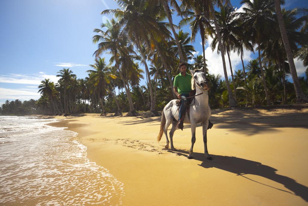 Baoba Beach Cabrera Bilik gambar